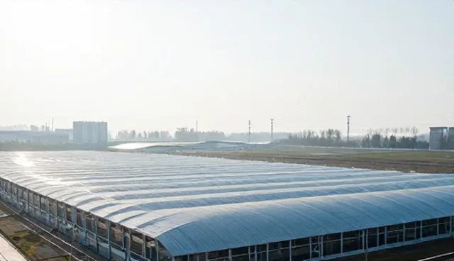 支持按区域的系统选型与使用建议
